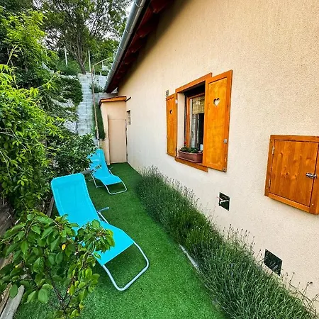 Panorama שצ'ופק